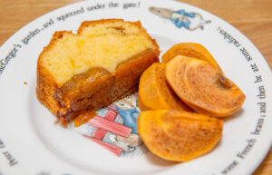 NIKON D850, 70mm, f/5.6, 1/80sec, ISO800