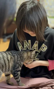 孫と猫