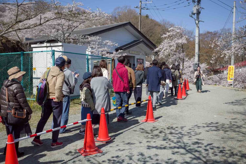 船岡城址公園ケーブルカー2019年春 RICOH GR3