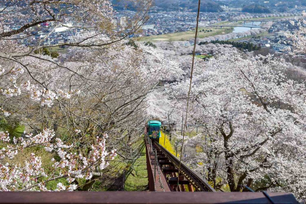 船岡城址公園ケーブルカー2019年春 RICOH GR3