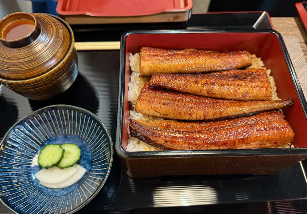 鰻稲川の特上鰻重